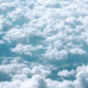 Meet your Posher, Maia